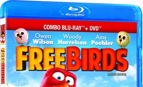 Free Birds DVD