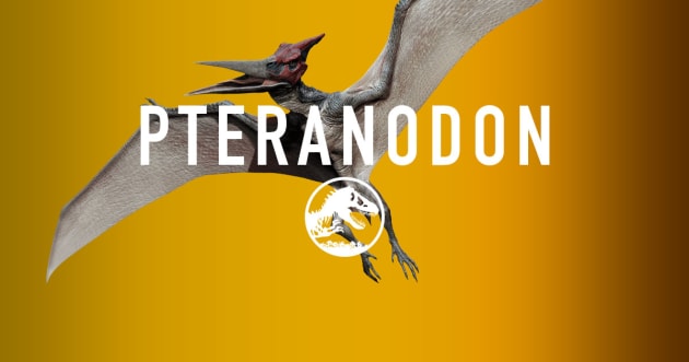 The Pteranodon