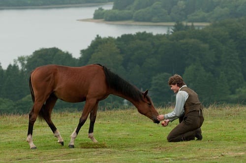 Jeremy Irvine and His Horse in War Horse