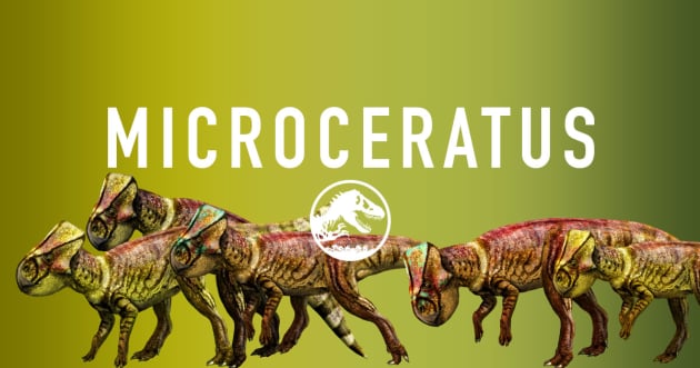 The Microceratus