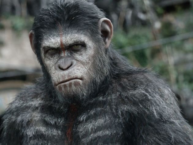 Dawn of the planet of the apes caesar