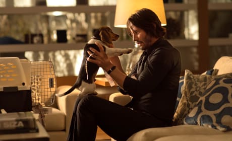11 Powerful John Wick Quotes