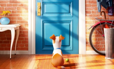 The Secret Life of Pets