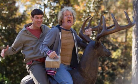 Dumb and Dumber To: Early Reactions Hit Twitter