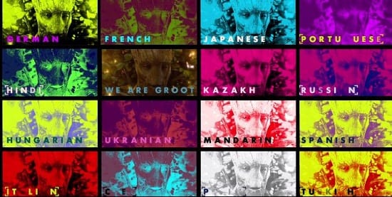 Groot International Photo