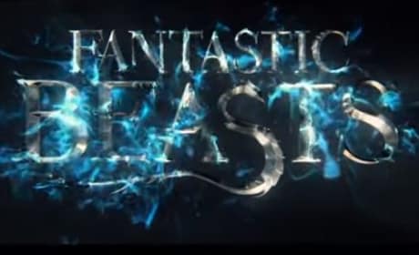 Fantastic Beasts Banner