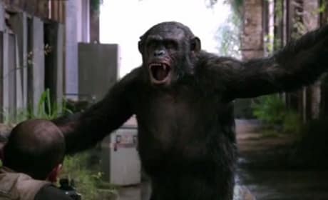 Dawn of the Planet of the Apes Playful Ape