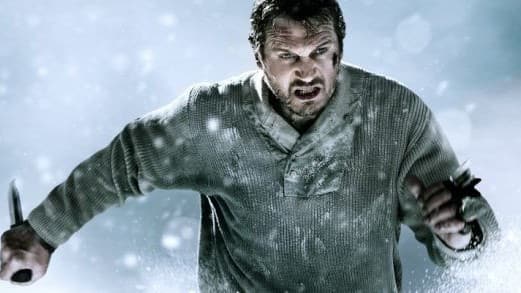 The Grey Stars Liam Neeson