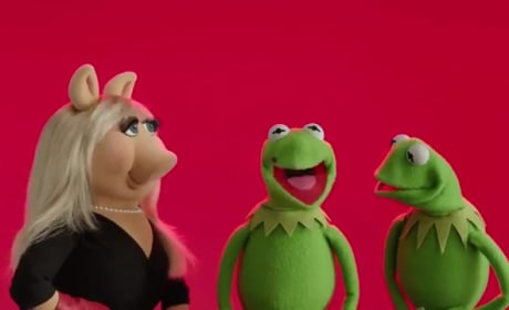 Muppets Most Wanted Valentine's Day Greeting