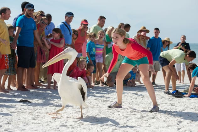 Dolphin Tale 2 Cozi Zuehlsdorff