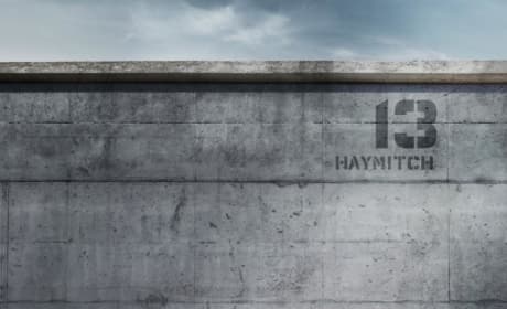 Mockingjay Part 1 Woody Harrelson Poster