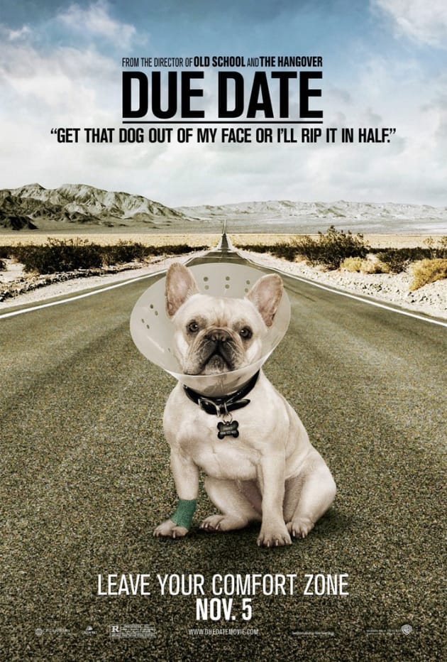 Due Date Dog Poster Movie Fanatic