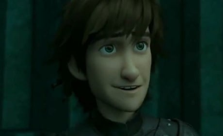 How to Train Your Dragon 2 Hiccup Photo