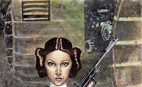 Star Wars Poster: Leia