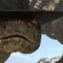 Bill Nighy as Rattlesnake Jake