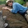 Sam Neill Jurassic Park 3D
