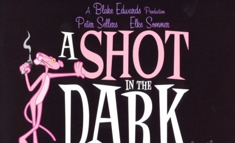 A Shot in the Dark Poster