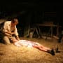 In the Barn