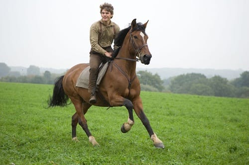 Jeremy Irvine in War Horse