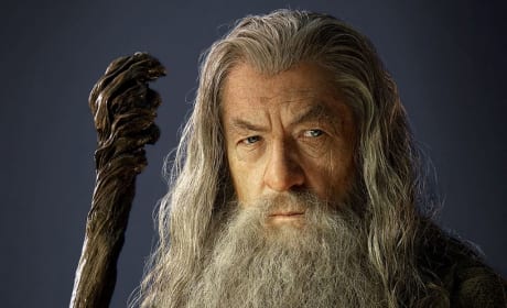 Gandalf the Grey Still