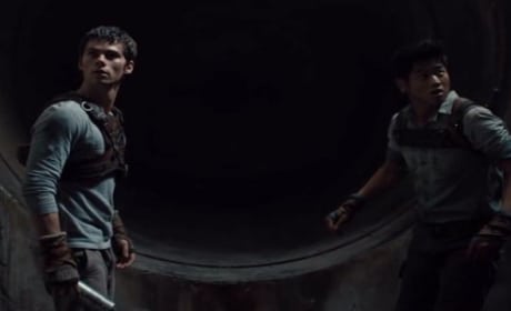 The Maze Runner Clip: Survival Appears Impossible