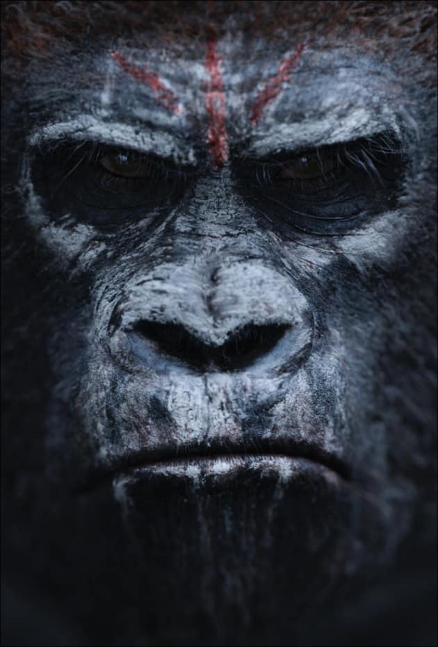 Dawn of the Planet of the Apes One Sheet