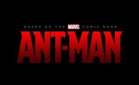 Ant-Man: Why Edgar Wright Left Revealed