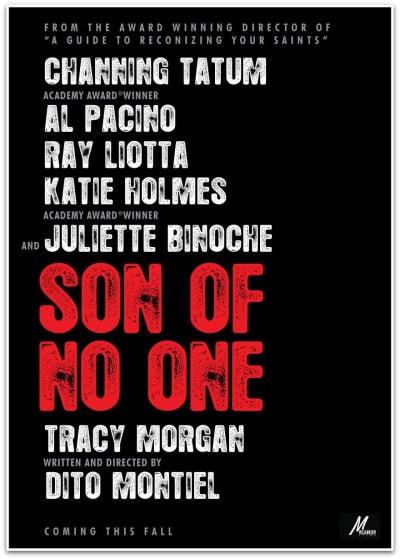 The Son of No One Poster