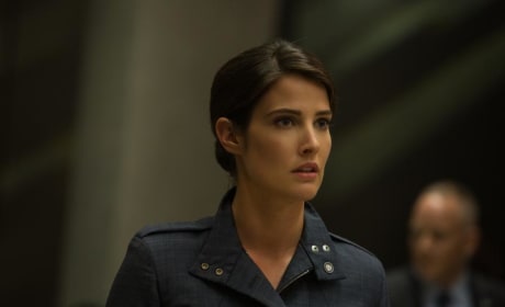 Captain America: The Winter Soldier Cobie Smulders