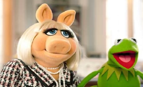 Muppets Final Parody Trailer: Look out Paranormal Activity and Breaking Dawn