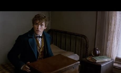 Fantastic Beasts and Where to Find Them: Announcement Trailer!!