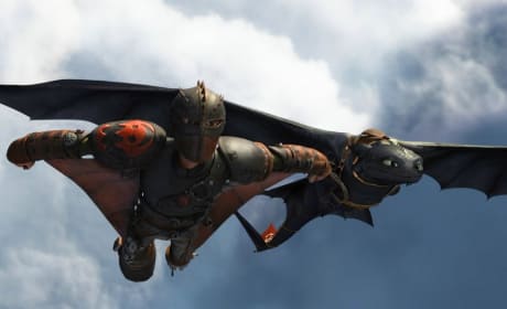 How to Train Your Dragon 2 Hiccup and Toothless