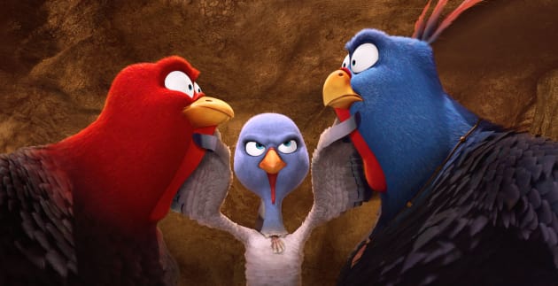 Free Birds Photo