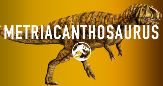 The Metriacanthosaurus