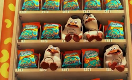 Penguins of Madagascar Vending Machine Photo