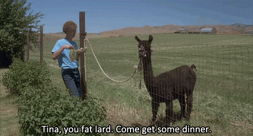 Most Quoted Napoleon Dynamite Line