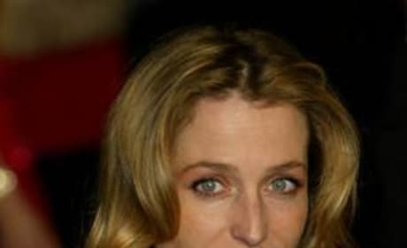 Gillian Anderson Picture