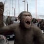 Rise of the Planet of the Apes Movie Review: Rebooting a Classic