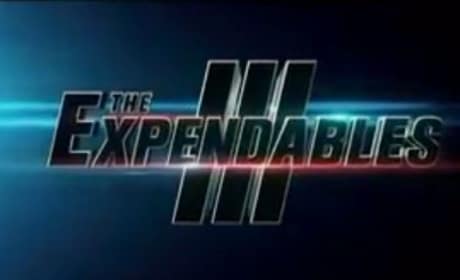 The Expendables 3 Logo