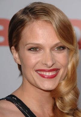 Vinessa Shaw Picture