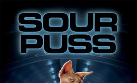 Cats and Dogs Sour Puss Poster