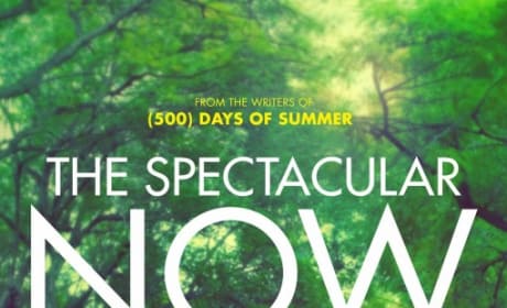 Spectacular Now Poster
