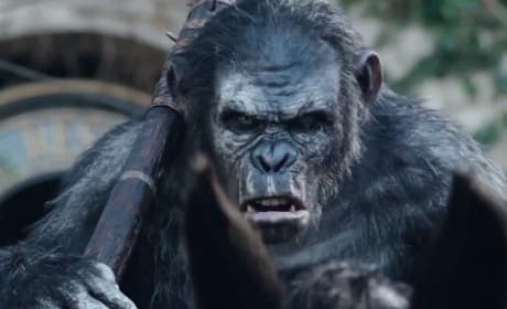 Dawn of the Planet of the Apes Ape Still