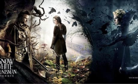 Snow White and the Huntsman Banner