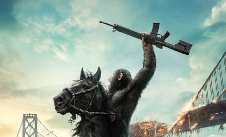 Dawn of the Planet of the Apes Poster: War Has Begun