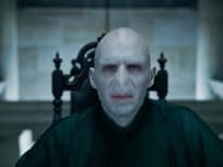 Ralph Fiennes as the Dastardly Voldemort
