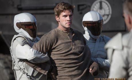The Hunger Games: Catching Fire Still Features Liam Hemsworth