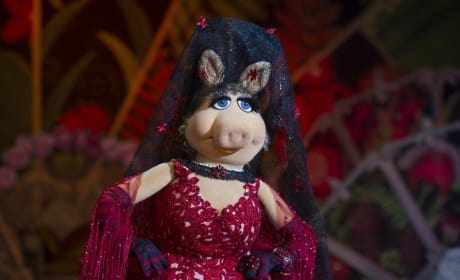 Muppets Most Wanted Exclusive: Miss Piggy Dishes "Throwing a Bone" to Celine Dion