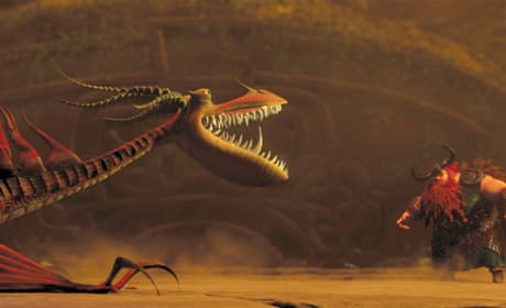 Stoick Faces the Dragon 