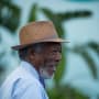 Dolphin Tale 2 Morgan Freeman